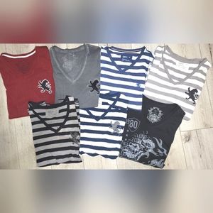 🦁 Express Lion Logo V-Neck Tee Bundle (7)